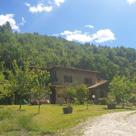 B&B Il Bagarello Palazzuolo Sul Senio Exterior foto